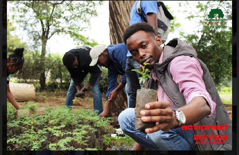 arafat_ahmey96's tweet photo. Each time we plant a tree, we're not only contributing to a healthier planet, but also to a brighter future for all. Let's celebrate the beauty and importance of trees today and every day. 🌳💚 

#isiolotupandemiti
#NatureLove
#PlantATree
#PositiveImpact https://t.co/jKbsKA3ein