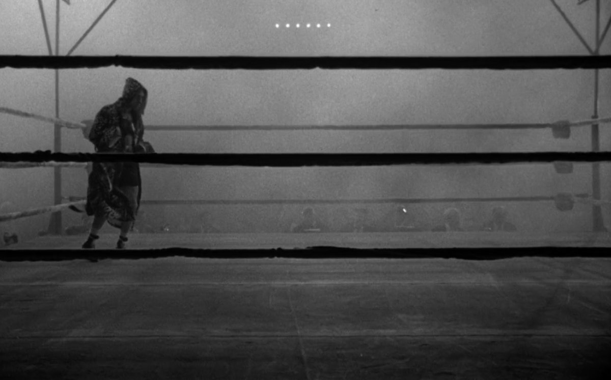 I'm a guest on @RTEArena tonight at 7 @RTERadio1 Boasting a 4K restoration, Raging Bull is re-released this week. It divided critics when it opened in 1980 and attracted only a small audience. 43 years later, it is considered a masterpiece.