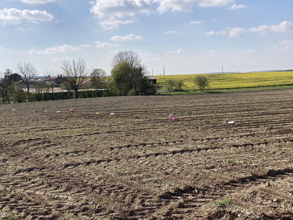 BUREAU20's tweet photo. ADS mesure la génétique tournesol 🌻sur une plateforme en terre groie avec témoin de marché au sein du réseau IMPAACT https://t.co/uUlCdr5lgN