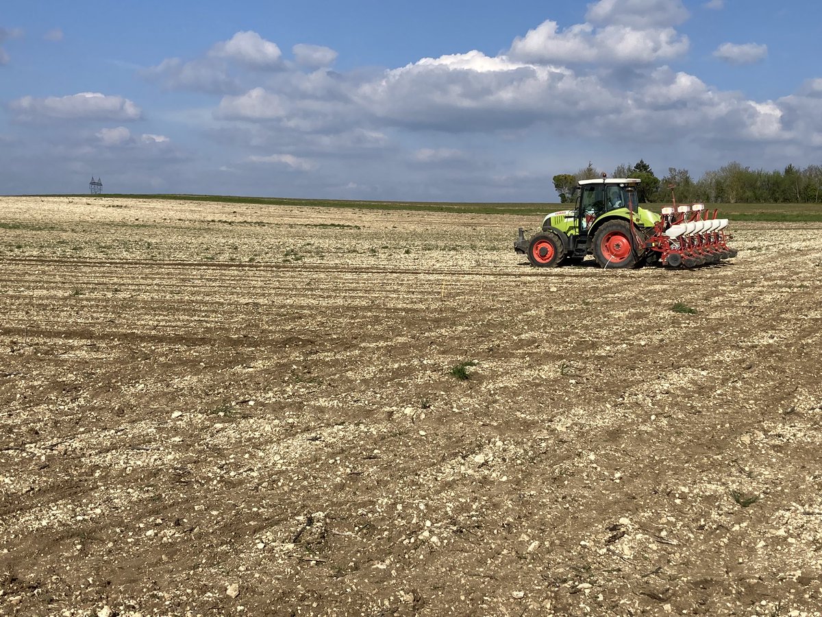 BUREAU20's tweet photo. ADS mesure la génétique tournesol 🌻sur une plateforme en terre groie avec témoin de marché au sein du réseau IMPAACT https://t.co/uUlCdr5lgN