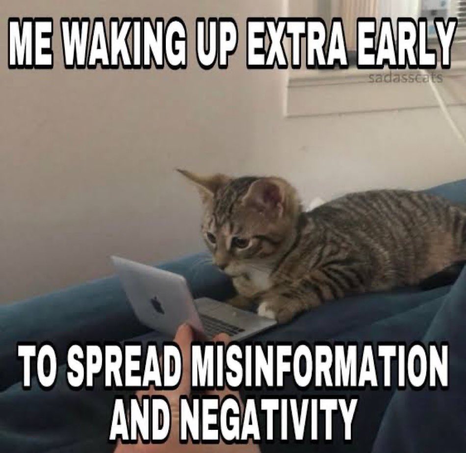 literallymecats's tweet image. 