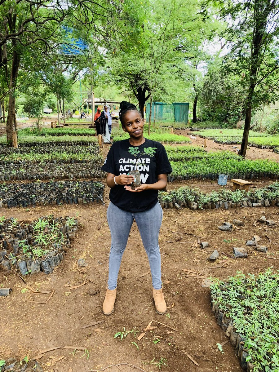 ActivistaIsiolo's tweet photo. The best time to plant a tree was 20 years ago, the second best time is NOW! #onechildonetreecompaign 
@ActionAid_Kenya Join us tomorrow from 9:00 a.m at High Vision Academy and Mwangaza Secondary School for  tree planting.
#Isiolotupandemiti
#GoGreen

Strides to a greener Isiolo https://t.co/TU70IFzfEQ