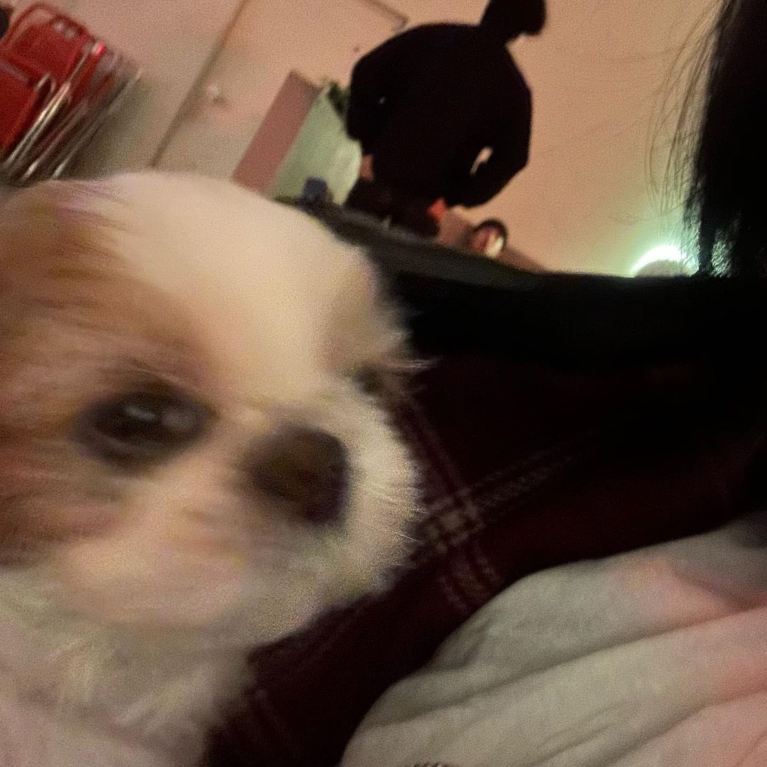[230418 uckstagram]

Caption: 🐶

#KimJaeuck #김재욱