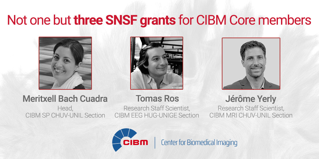 CIBM Centre d'Imagerie Biomedicale tweet media