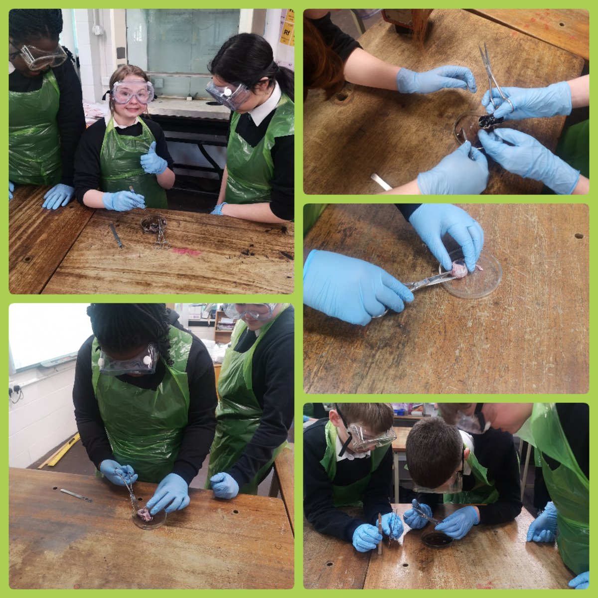 Balerno HS Science tweet media