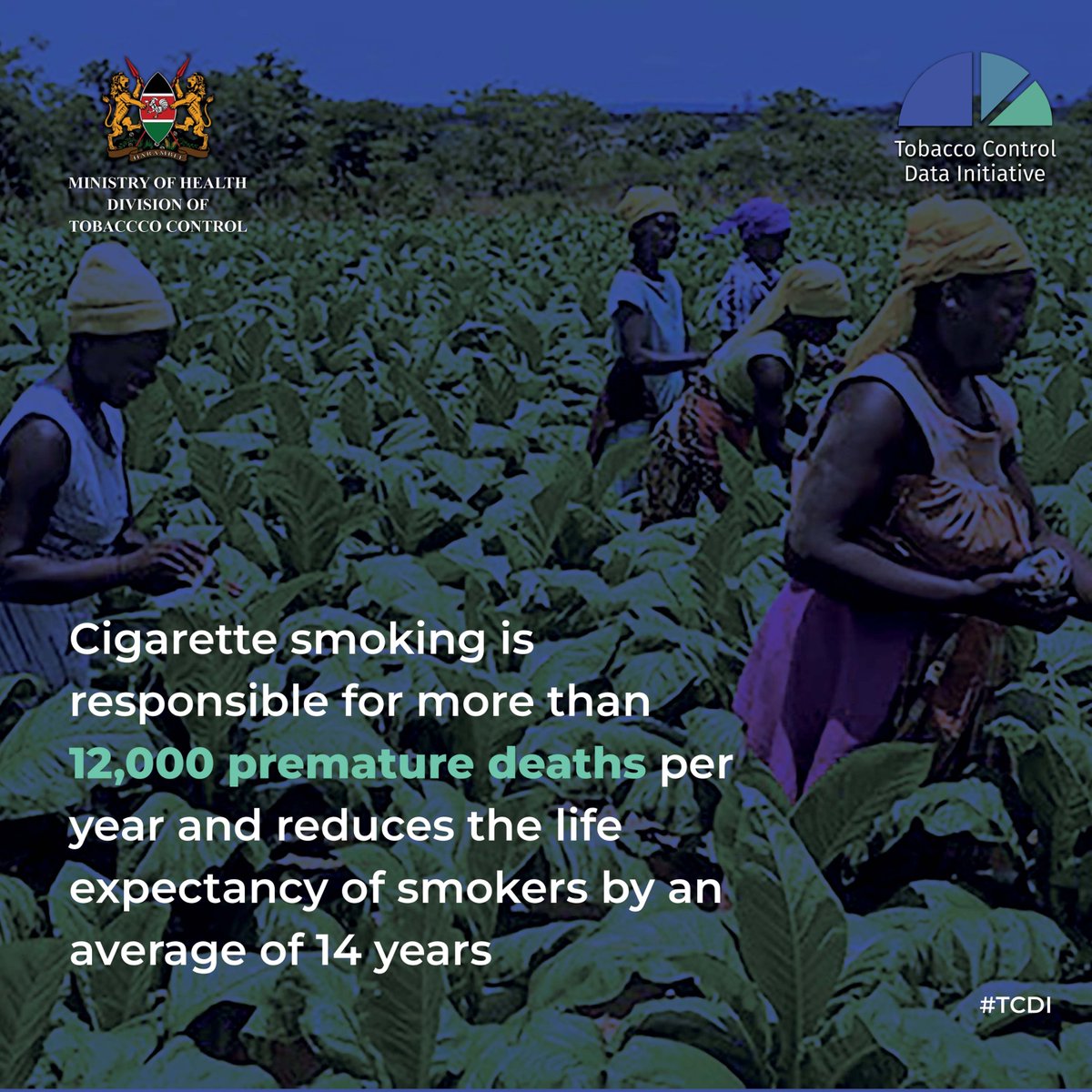 International Institute for Legislative Affairs on Twitter "Cigarette