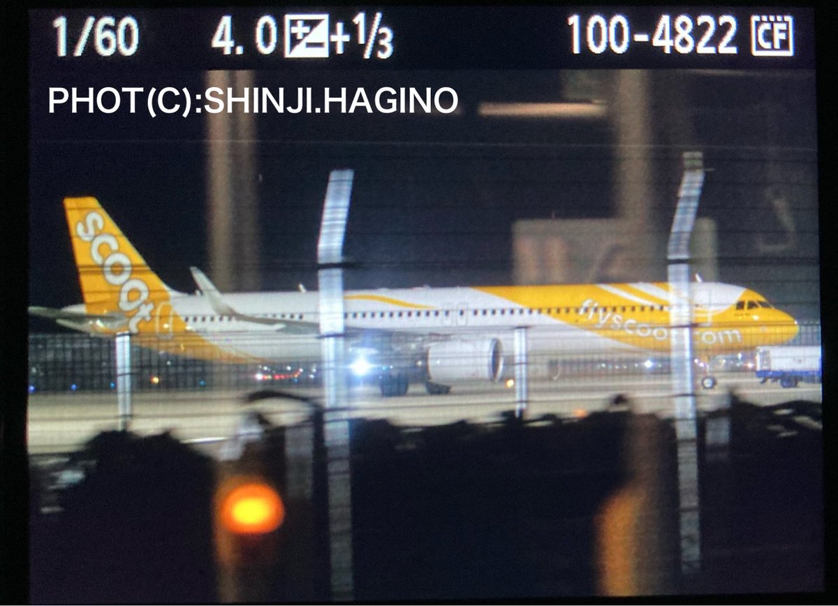 sh60j121's tweet photo. #チェジュ空港(#RKPC #CJU)強風で降りられず #福岡空港(#RJFF #FUK) へ #ダイバート(#divert #diversion #DVT)した #スクート(#Scoot #TGW #TR)機(#A321-271NX:9V-NCE)。
飛ばず福岡空港お泊まりになってました。 https://t.co/kPSjaLI03T