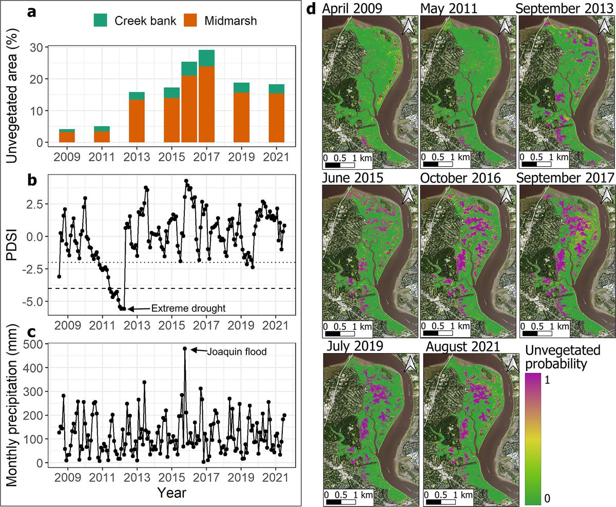 Ecosphere tweet media