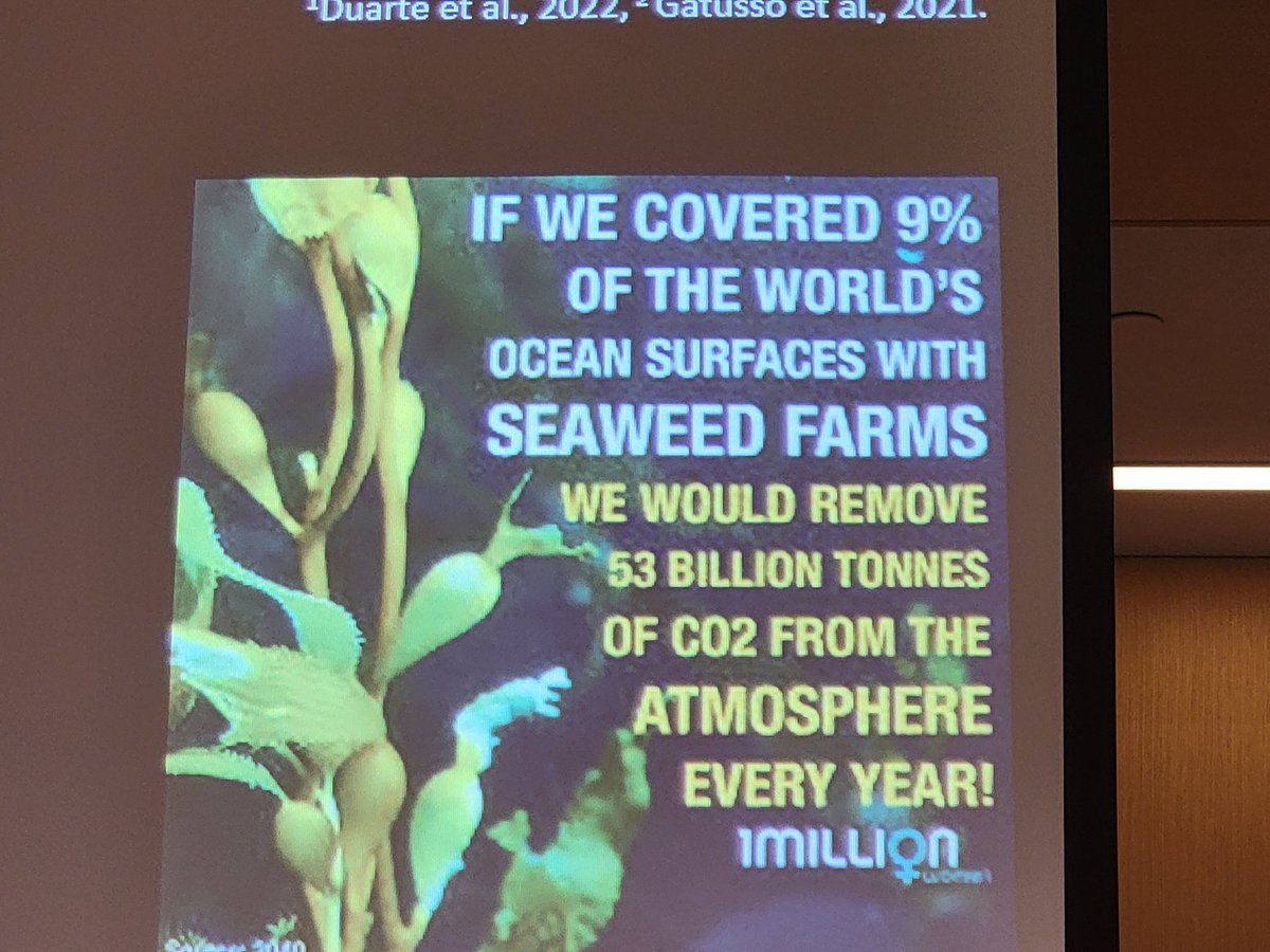 PrateepNayak's tweet photo. Hmm...quite interesting. #Kelp as food and also an antidote to atmospheric #C02. Important observations being made by our speaks at the #Session18 #ECCWO5 on #BlueCarbon #CDR @imber_ipo https://t.co/ilvWEaQSqW