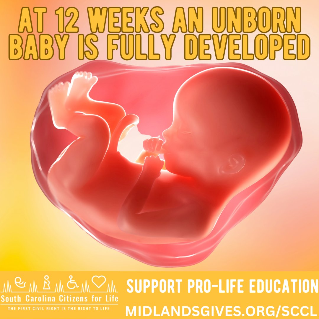 ➡️🤔DID YOU KNOW that an unborn baby is fully developed at 👼 12 WEEKS? 👶🏽  
 
Your Donation will be used to 🤗 SUPPORT PRO-LIFE EDUCATION 🤗 in Orangeburg County. ⬇️  
➡️Double Your Donation Here: lnkd.in/gHFf9UUV
 
Thank you! 🙏
 
#life4sc
#midlandsgives
#savethebabiessc