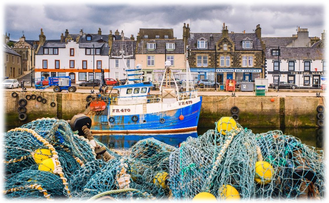 The European Association of Fish Pathologists welcomes you to the

21st International Conference on Diseases of Fish and Shellfish in Aberdeen (eafp-conference.com), 11th-14th September 2023.
🐡🐠🐟🐟🐟🐡🐠🐡
Registration is open! Deadline for abstract submission 23rd April!