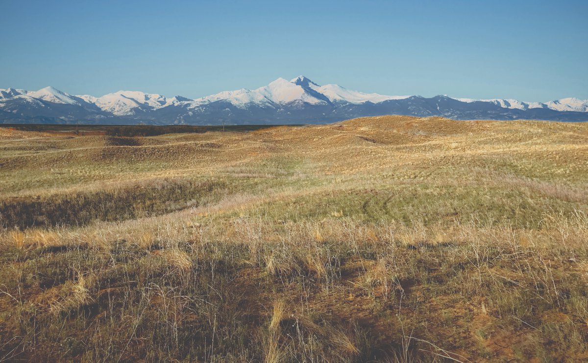 LINKSMagazine's tweet photo. BREAKING NEWS: The newest Dream Golf project, a public golf resort called Rodeo Dunes, will be built in the eastern plains of Colorado

“The vision is to build Sand Hills with three to six 18-hole golf courses completely open to the public”

Learn more ➡️ https://t.co/BIpLjpTl62 https://t.co/HQDN6usOn5