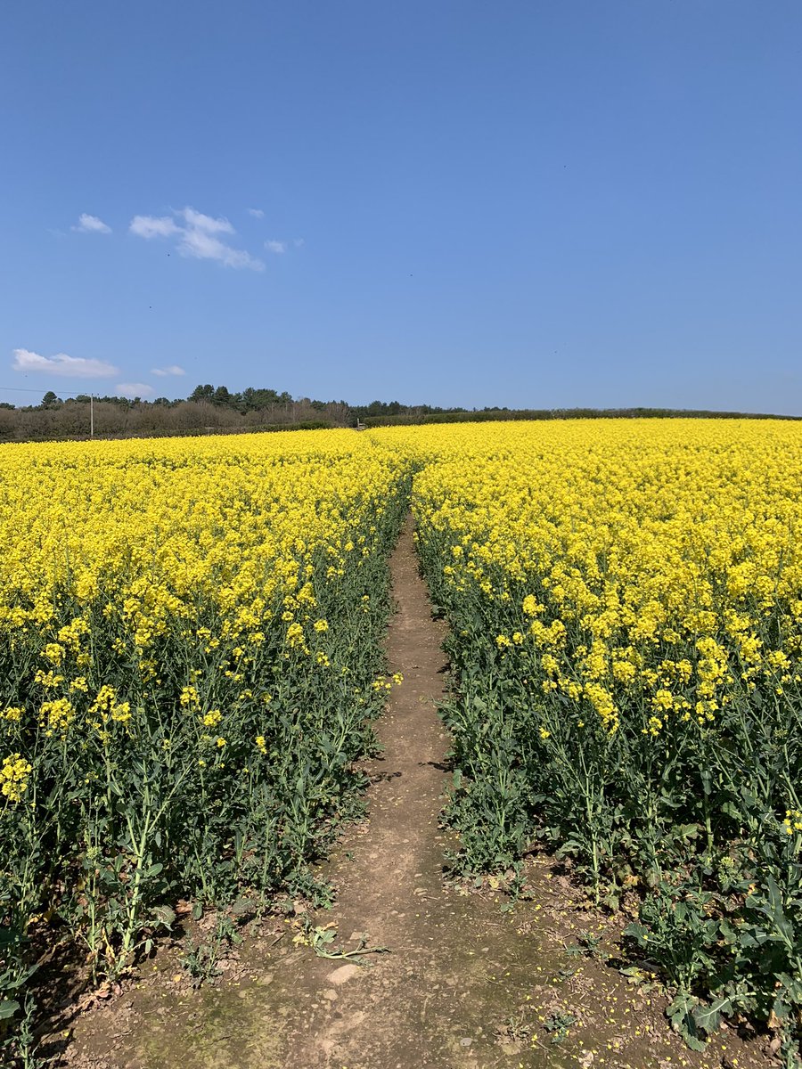 Tough day in the office day 1 of Silver practice expedition with <a href="/wksscullion/">Mr Scullion</a> <a href="/ekilleywkrs/">Miss Killey</a> missing you @LGilmartin_SLT <a href="/wkscox/">Mr Cox</a> <a href="/WestKirbySchool/">West Kirby School</a>