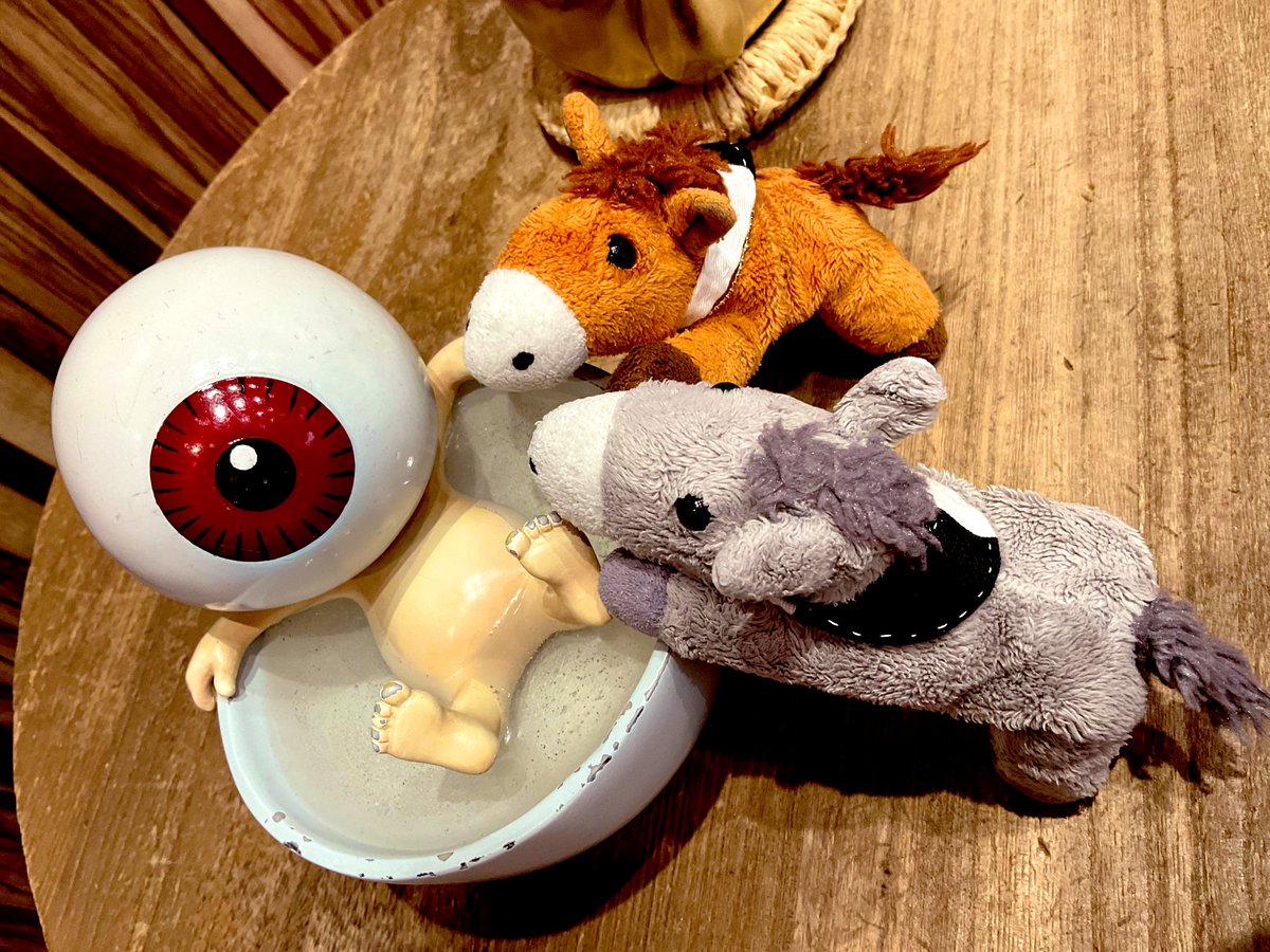 Umars_Stable's tweet photo. おひさしうまーず🐴
目玉のおじさんのお風呂は君らにはちょっと小さいよ（笑） https://t.co/4mvd9YhmRc