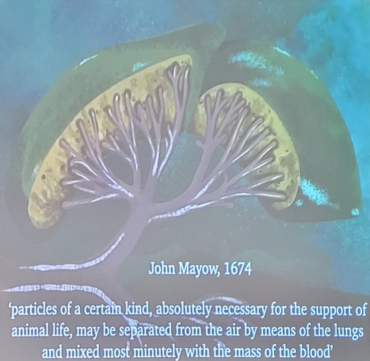 Wordotomy tweet media