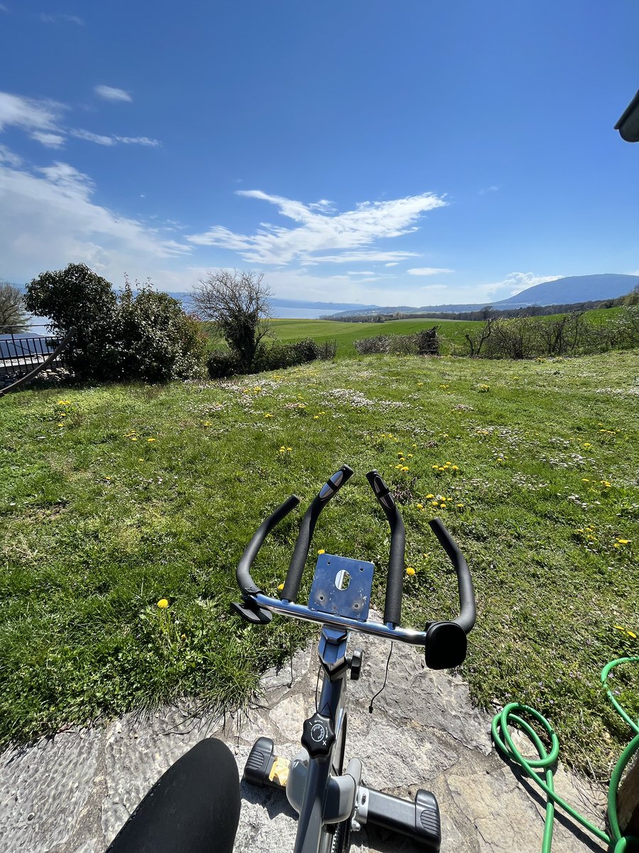 Léa McAleese tweet media