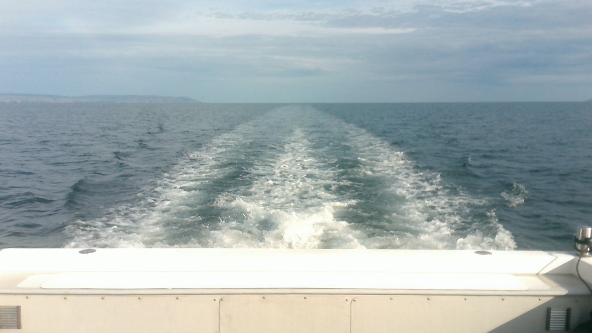 thats the day for it! #fishing  #causewayboats