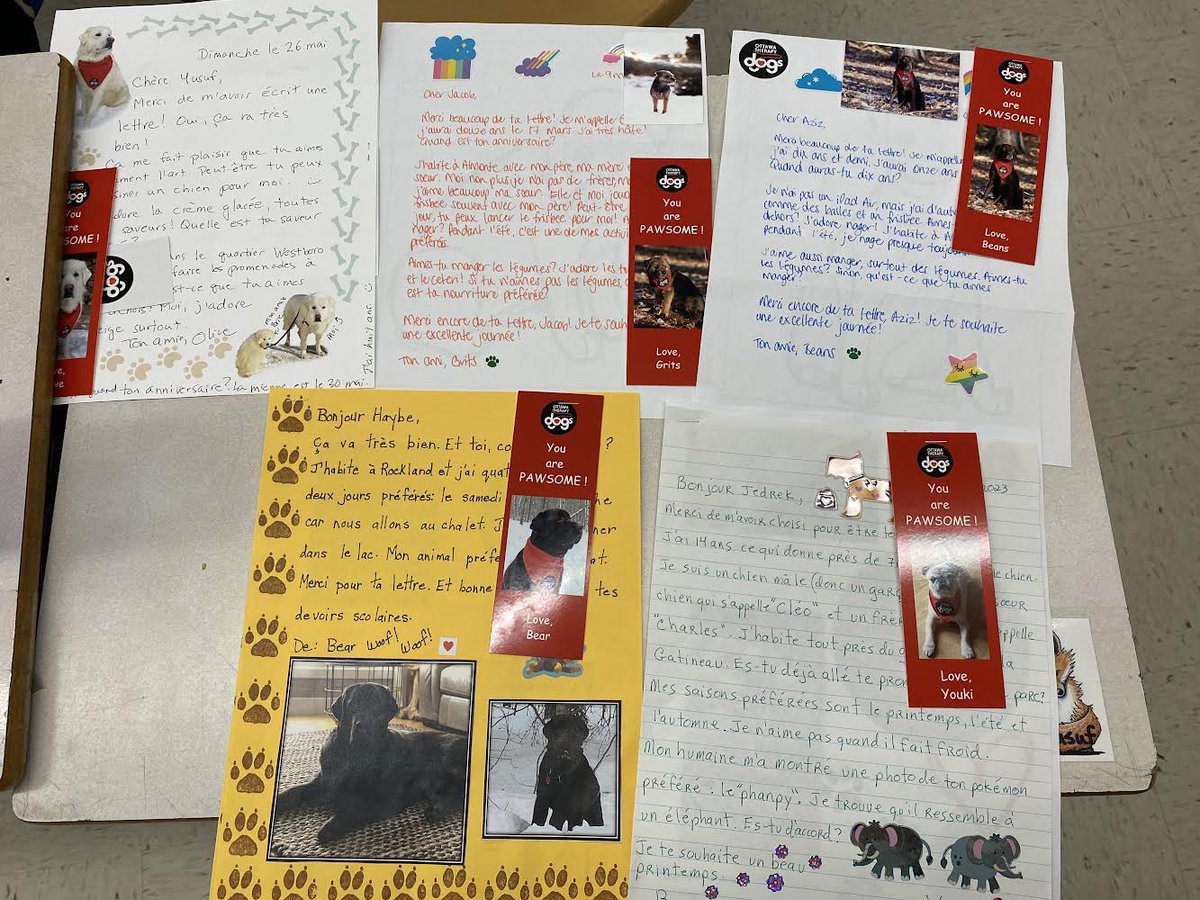 Gr 4 students wrote letters to their bilingual dog from @OttawaTherapyDogs and their dogs wrote back! What a Pawsome way to make writing authentic!