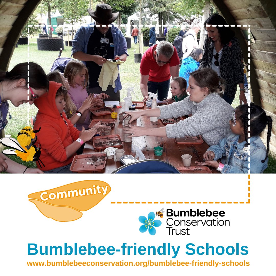 BumblebeeTrust's tweet photo. It’s time to get schools buzzing about bumblebees🐝🎓

Introducing Bumblebee-friendly Schools. The new scheme encourages positive actions that will make schools a better place for bumblebees and other wild pollinators👉 https://t.co/6gf72N05L3

Share and tag a school or teacher👇 https://t.co/YRkhdsHdVG