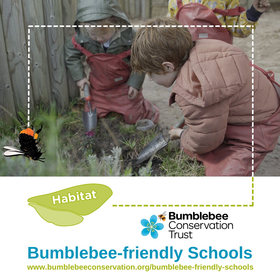 BumblebeeTrust's tweet photo. It’s time to get schools buzzing about bumblebees🐝🎓

Introducing Bumblebee-friendly Schools. The new scheme encourages positive actions that will make schools a better place for bumblebees and other wild pollinators👉 https://t.co/6gf72N05L3

Share and tag a school or teacher👇 https://t.co/YRkhdsHdVG