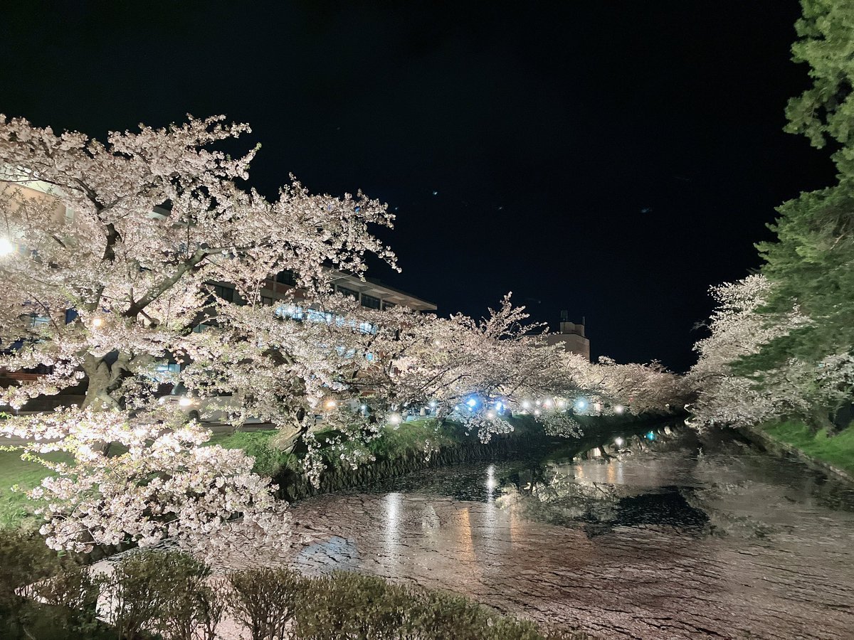 prkr_rai's tweet photo. 夜桜₍ᐢˊo̴̶̷̤  ̫ o̴̶̷̤ˋᐢ₎ｷﾚｲ https://t.co/kZXmfUYEaW