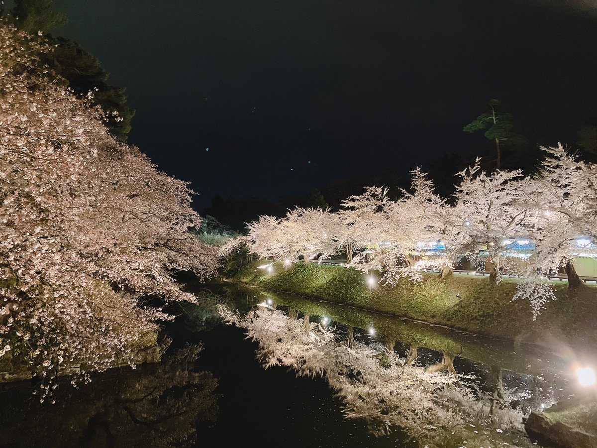 prkr_rai's tweet photo. 夜桜₍ᐢˊo̴̶̷̤  ̫ o̴̶̷̤ˋᐢ₎ｷﾚｲ https://t.co/kZXmfUYEaW