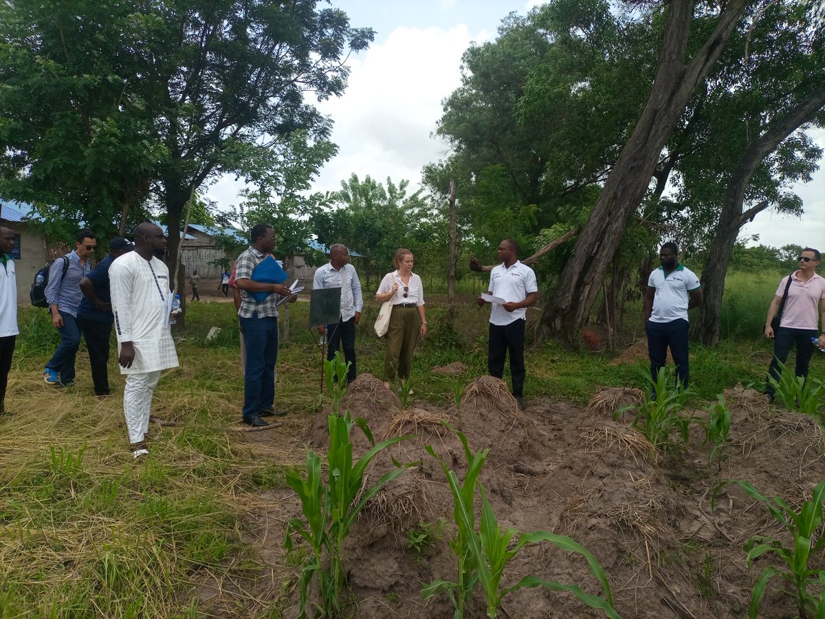 ucjgtogo's tweet photo. Mission de supervision de l'équipe de projet SAFARI ce matin au centre CFER de @ucjgtogo sis à Avétonou.
#safari #CFER #ymca #AfD https://t.co/a5V2IZrWHz