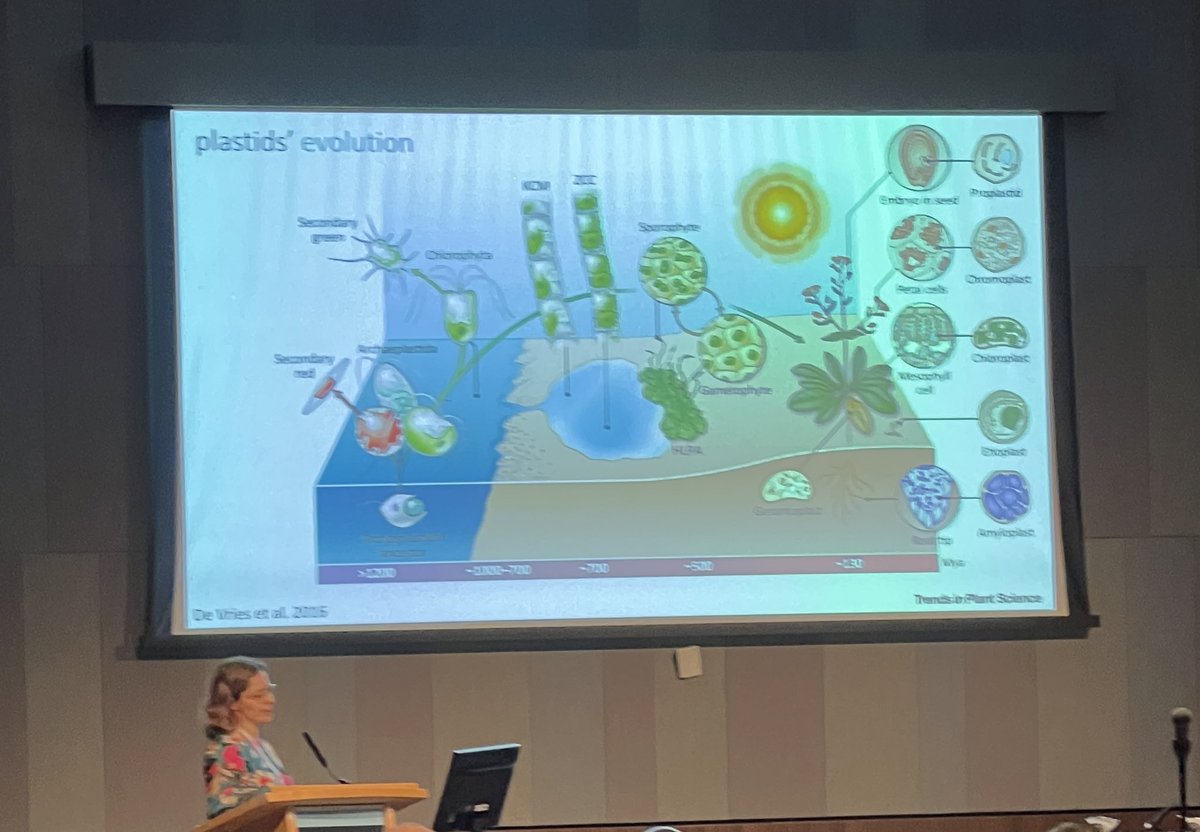 Hope you enjoyed your coffee ☕️ break. Now in hall 9 Anna Karnkowska from the University of Warsaw, Poland is talking about ‘Origin and loss of plastids in the evolution of eukaryotes’ #microbio23