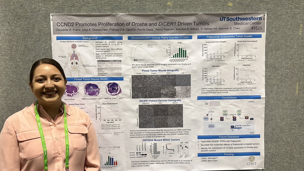 Claudette Faire from <a href="/kennethschen/">Kenneth S. Chen</a> presenting interesting models and role ccdn2 in Drosha/Dicer1 pineoblastoma