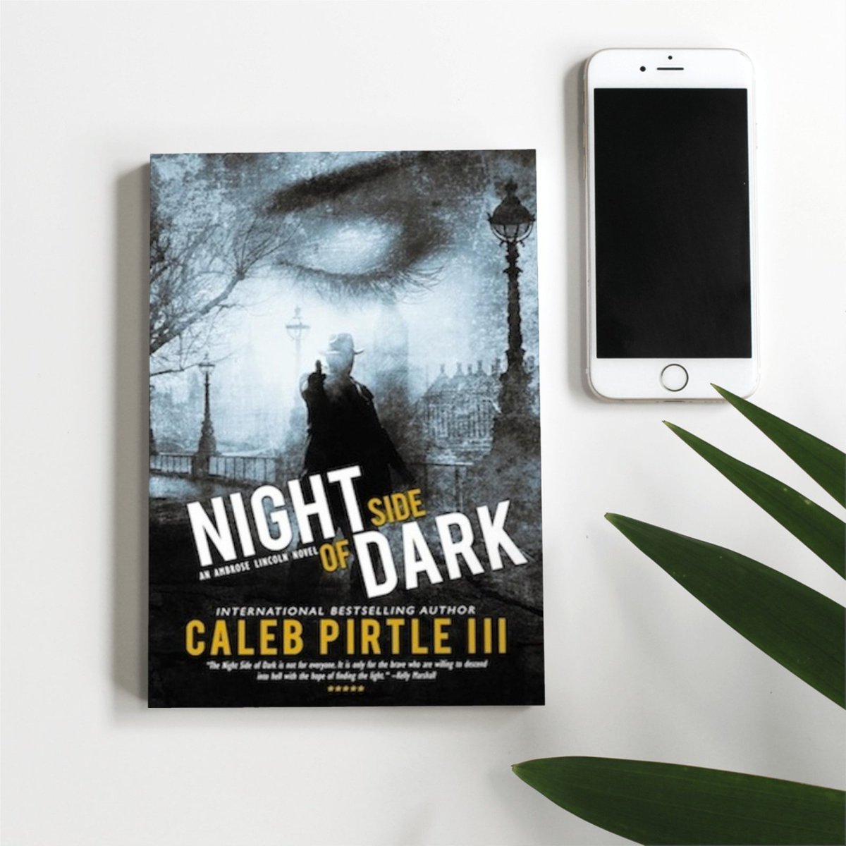 Is the painting real?
Is it a myth?
Why do the Nazi warlords want it?
Is the rumor true?
Does it have a portal to another world?

Night Side of Dark: A historical thriller

amazon.com/Night-Side-Dar…