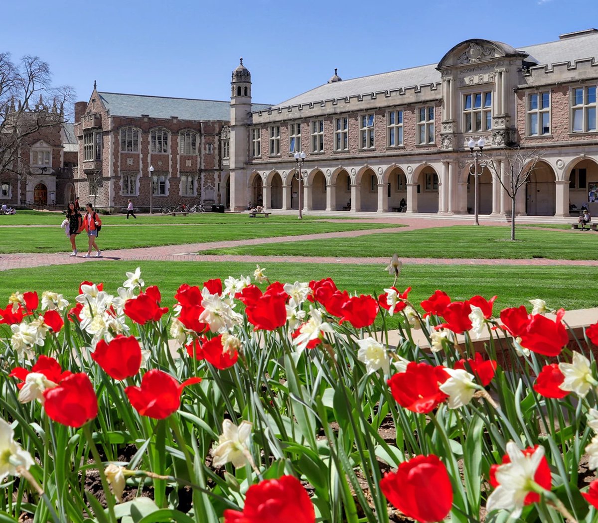 Nathan Jacobs (@jacobsn) on Twitter photo Looking for an exciting postdoc position? Help us (<a href="/MDFrachetti/">Michael D. Frachetti</a> <a href="/DavidBCarter12/">David B. Carter</a>) combine satellite imagery and genomic + geospatial data to understand the interplay between natural environments, human mobility, and political borders.
Apply here: apply.interfolio.com/124133 Looking for an exciting postdoc position? Help us (<a href="/MDFrachetti/">Michael D. Frachetti</a> <a href="/DavidBCarter12/">David B. Carter</a>) combine satellite imagery and genomic + geospatial data to understand the interplay between natural environments, human mobility, and political borders.
Apply here: apply.interfolio.com/124133