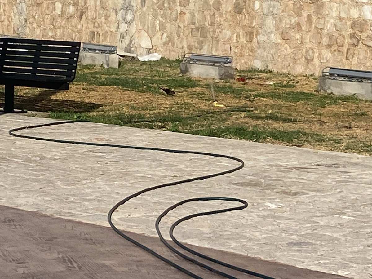 jm_pp's tweet photo. @Alcaldia_Camp Es difícil manifestar nuestra atenta solicitud en buenos términos. Porqué no instalan sistemas de riego modernos y evitan seguir regando como hace 1 siglo ? Enfrente del Palacio del Gob del Edo. Atraso ancestral. Da pena ajena. https://t.co/xnaiJ0RYAx