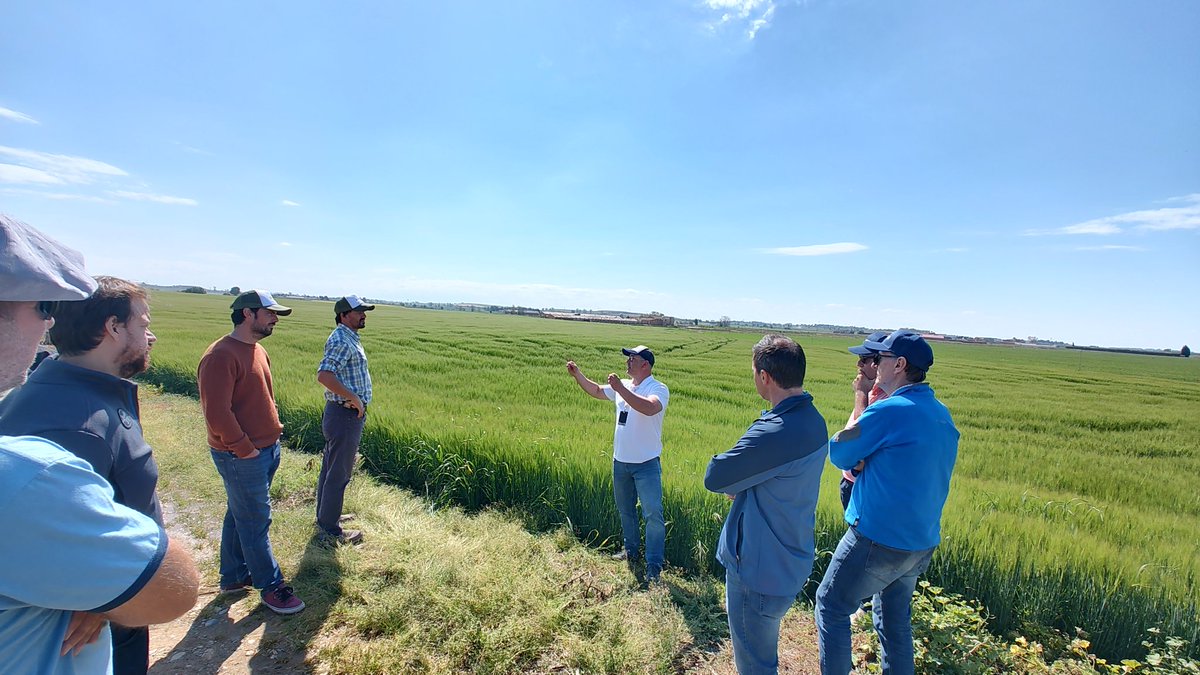 Manuel D tweet media