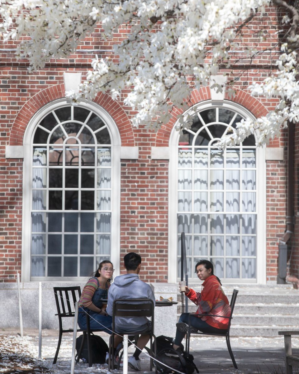 Harvard's tweet photo. Flowers and friends. #HarvardInSpring https://t.co/iiPVtqvppm