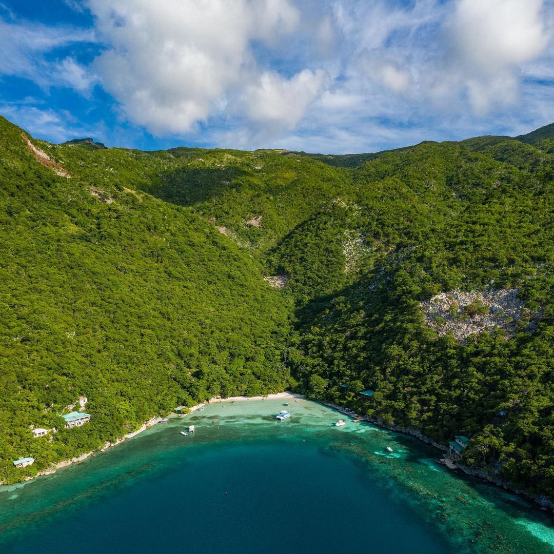 fojemorg's tweet photo. 🏖️ |#ImageDuJour| 📍 Cadras, Haiti 🇭🇹
.
.
.
.
FOJEM , Image via: Haiticité
#Kadras #Cadras #CapHaitian #Haiti #image #biodiversité https://t.co/4K3nCDRL3z