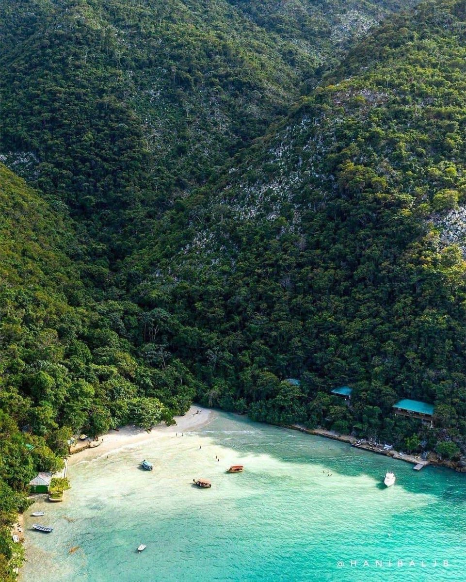 fojemorg's tweet photo. 🏖️ |#ImageDuJour| 📍 Cadras, Haiti 🇭🇹
.
.
.
.
FOJEM , Image via: Haiticité
#Kadras #Cadras #CapHaitian #Haiti #image #biodiversité https://t.co/4K3nCDRL3z