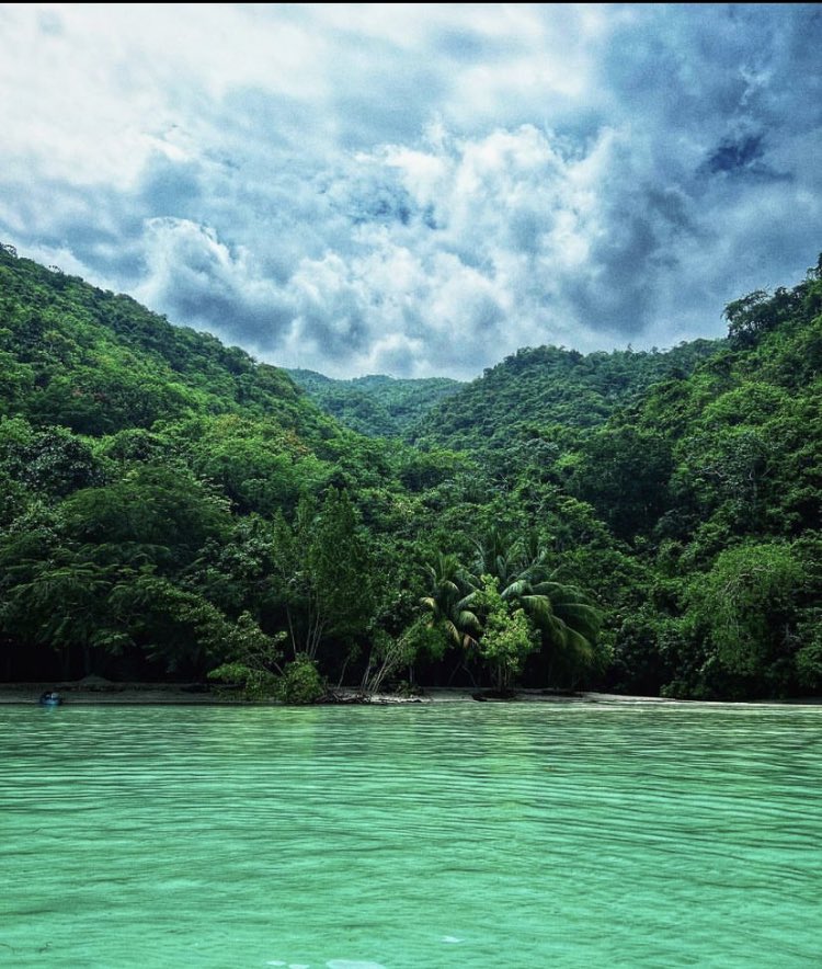 fojemorg's tweet photo. 🏖️ |#ImageDuJour| 📍 Cadras, Haiti 🇭🇹
.
.
.
.
FOJEM , Image via: Haiticité
#Kadras #Cadras #CapHaitian #Haiti #image #biodiversité https://t.co/4K3nCDRL3z