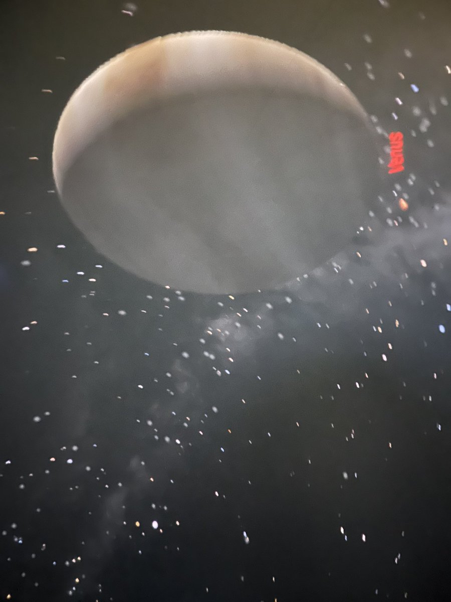 Caitlin McCommons (@mccommonscrew) on Twitter photo Thanks! @lifeandscience for sharing your Starlab with us today! We loved it!! <a href="/TurnerCreekES/">Turner Creek Elementary</a> #daretocare Thanks! @lifeandscience for sharing your Starlab with us today! We loved it!! <a href="/TurnerCreekES/">Turner Creek Elementary</a> #daretocare