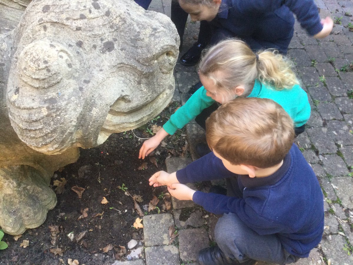 class2foxton's tweet photo. We’ve had a busy first day back. As part of our plants topic we have planted sunflower seeds in pots, planted wild flower seeds in the courtyard and drawn beautiful chalk pictures of daisies. https://t.co/rZNH3MdqaA
