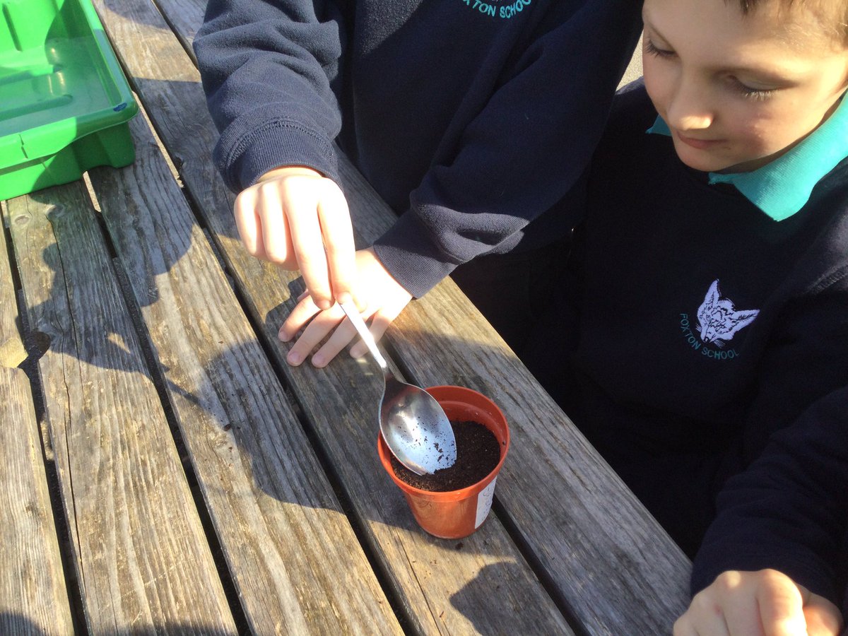 class2foxton's tweet photo. We’ve had a busy first day back. As part of our plants topic we have planted sunflower seeds in pots, planted wild flower seeds in the courtyard and drawn beautiful chalk pictures of daisies. https://t.co/rZNH3MdqaA