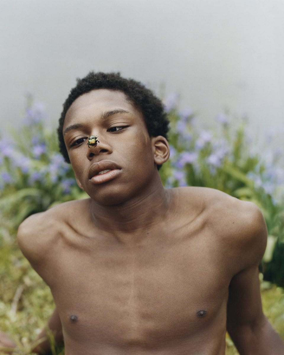 Tyler_Mitchell_'s tweet photo. My work 'Simply Fragile' from my series 'Chrysalis' has been acquired into the @brooklynmuseum permanent collection!

Thank you to curator Drew Sawyer, Antwaun Sargent and David Cancel for your support of this work

This is the first acquisition by a museum in the city I live https://t.co/ueYvfakBdT