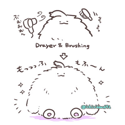 もふもふをさらにもふもふに、もふもふの高みを目指して。 https://t.co/XaH4dO97hF