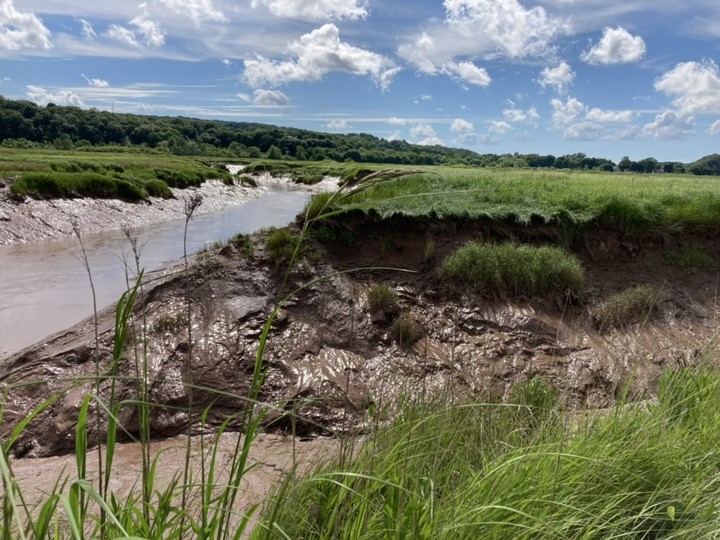 Can dirt + plants be stronger than concrete? 🌱

In part one of this two-part mini-series about nature based coastal adaptation, @keahnamargeson investigates the need for innovative solutions to flooding, erosion, and storm surges: blogs.dal.ca/openthink/dirt…