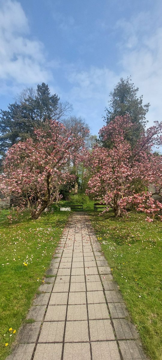 Gm ⛰️

Today is a good day 
to enjoy the Sakura season 🌺