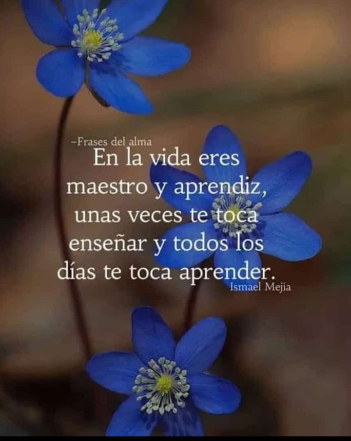 La bondad te facilita la vida. Lindo día a todos 💕 #RevoluciónÉtica @yoibelin1 @Jesus33671337 @nohelys51675236 @Ronal4825 @EGMorenoR @Arelys_50 @ArelisOlivero11 @JosetGonza8262 @Luisrz2525