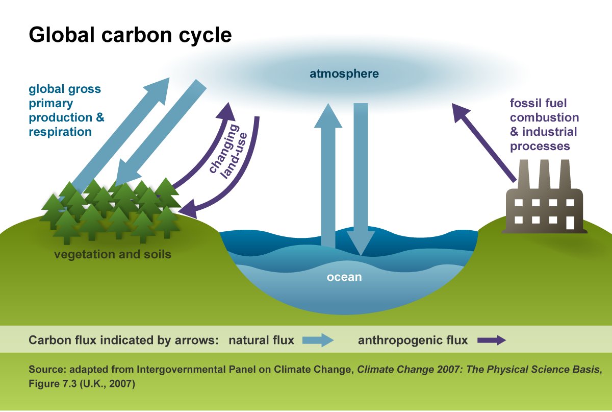 ECOWARRIORSS's tweet photo. Nature emits 750 gigatons of CO2 every year, whilst human emissions are a paltry, 32.5 gigatons
What deniers do not tell U is that nature reabsorbs its 750 gigatons of emissions but nature only absorbs 40% of extra human emissions and rest remains in atmosphere and its cumulative https://t.co/fkwnuQK8Bo