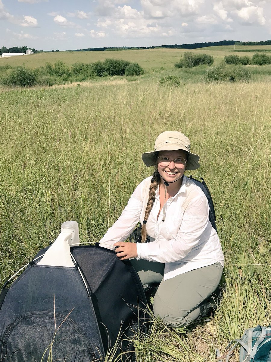 Echinacea Project (@teamechinacea) on Twitter photo Interested in a 5-6 month position working on prairie bees and prescribed burns? Have field work and leadership experience? Join <a href="/TeamEchinacea/">Echinacea Project</a> as a pollinator team leader starting in early May! Apply here: echinaceaproject.org/opportunities/… Interested in a 5-6 month position working on prairie bees and prescribed burns? Have field work and leadership experience? Join <a href="/TeamEchinacea/">Echinacea Project</a> as a pollinator team leader starting in early May! Apply here: echinaceaproject.org/opportunities/…
