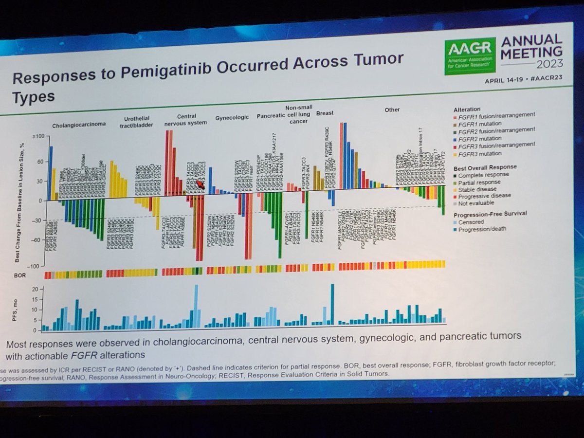 PKennyLab's tweet photo. Good pan-cancer activity of pemigatinib with ORRs of 26.5% in fusions and 9.4% in SNVs. Zero activity with concurrent MAPK pathway mutations at baseline. #AACR23 https://t.co/n7gjlLXZaL