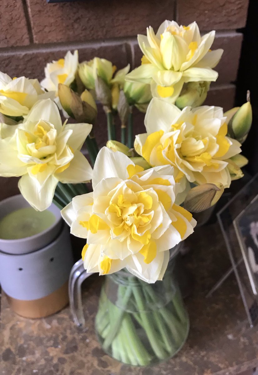 cfs_jo's tweet image. Look at these pretties! #JoyInSpring