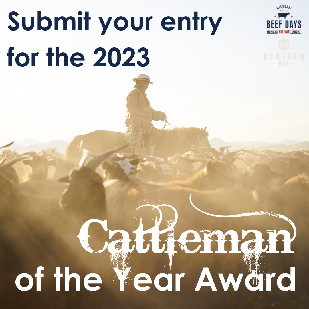 MObeefdays's tweet photo. Do you know any hard-working cattleman? Nominate them for the Cattleman of the Year Award! Visit https://t.co/wPv5oDbGIA to learn more and download our nomination form!
#ranchlife #sunrisetosunset https://t.co/TuEdgtWyW5